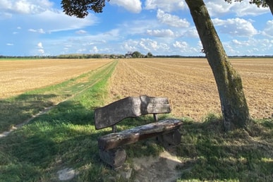 Wir haben Sommer